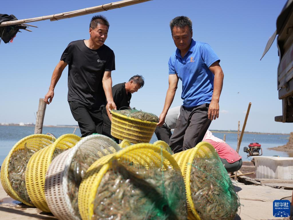 大同麻将游戏